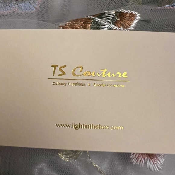 TS Couture Dress 14 Light Grey Embroidered Organza Floral Gown Evening Lace Up - Picture 10 of 13